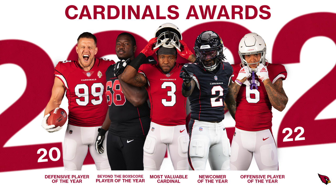 10+ Az Cardinals Stats To Predict Next Year's Success
