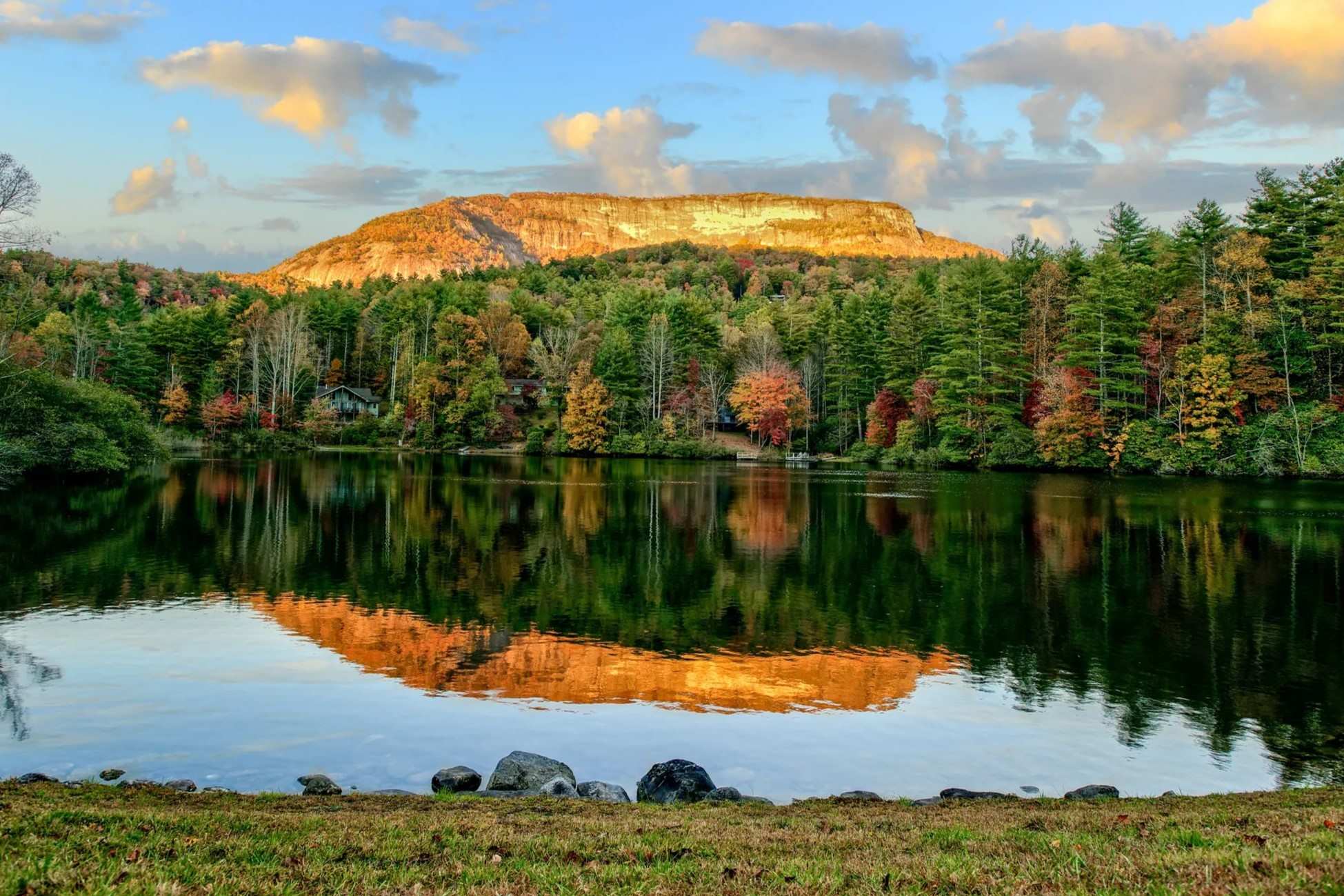 10+ Carolina Forest Secrets For Better Care