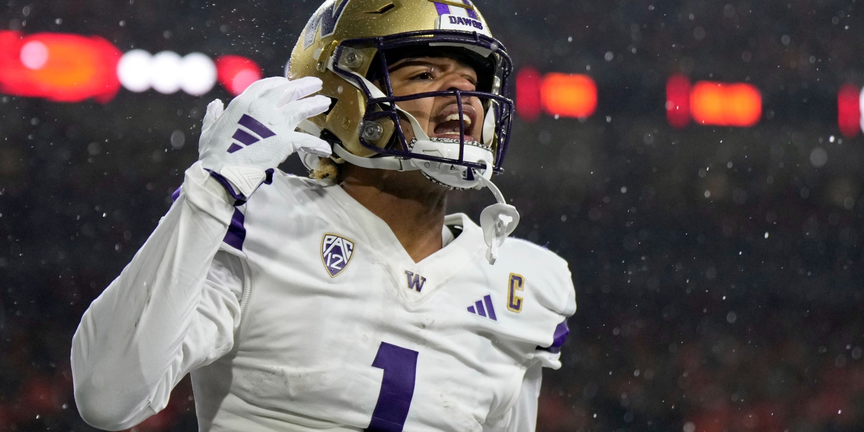 12+ Best Rookie Wrs For Fantasy Success