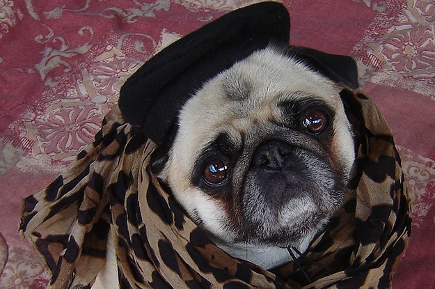 12+ Little Bill Hat Tips For Better Fashion Sense