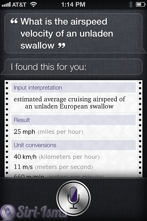 Airspeed Velocity Of An Unladen Swallow