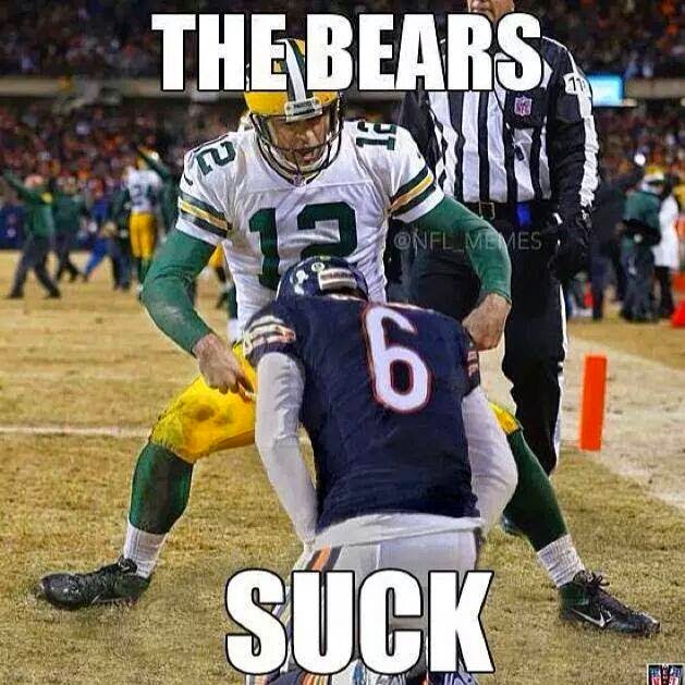 Bears Suck Guide: Expert Analysis