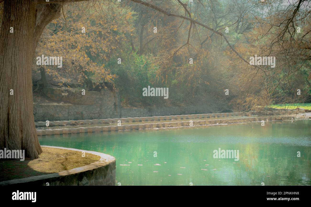 Believe It Or Not San Antonio: Explore Hidden Gems Believe It Or Not San Antonio: Explore Hidden Gems