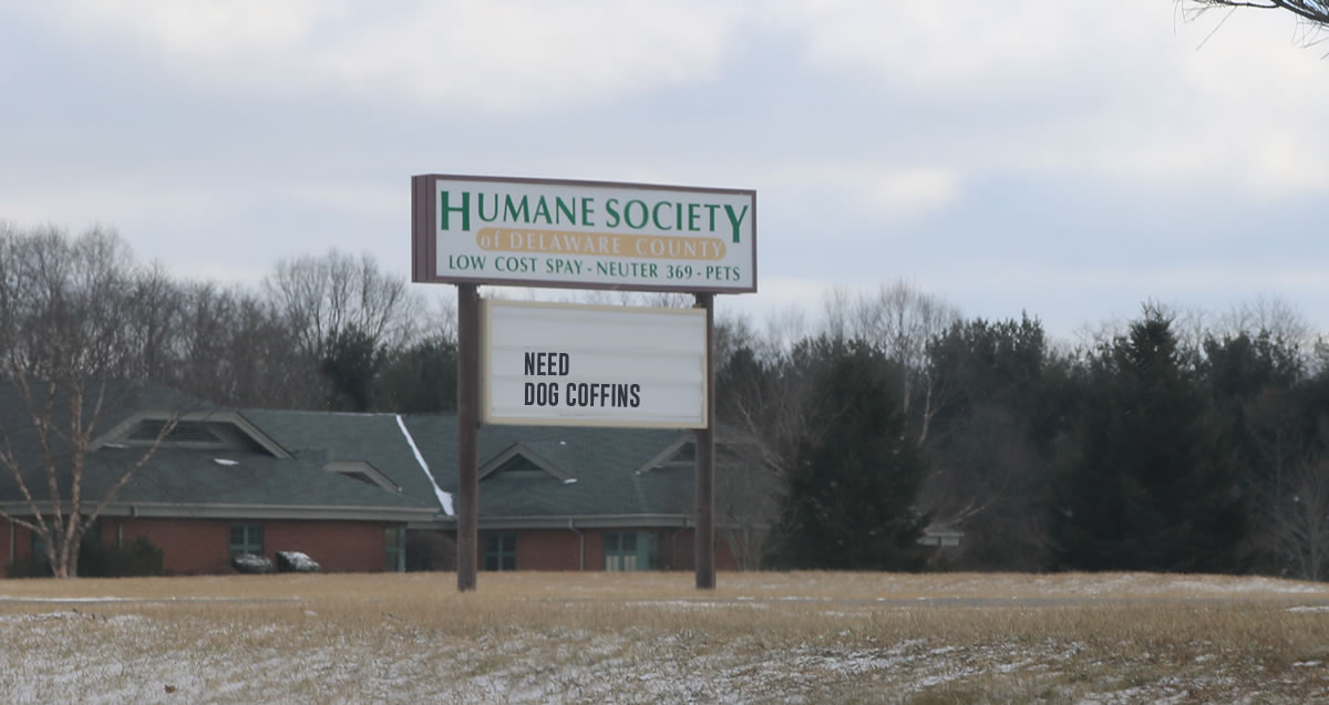 Delaware Humane Society Ohio