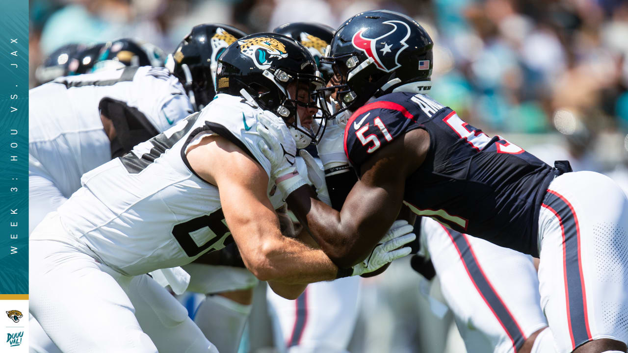 Jaguars Jobs Guide: Opportunities Uncovered