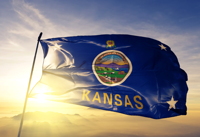 Kansas Learning Standards: Comprehensive Guide Kansas Learning Standards: Comprehensive Guide