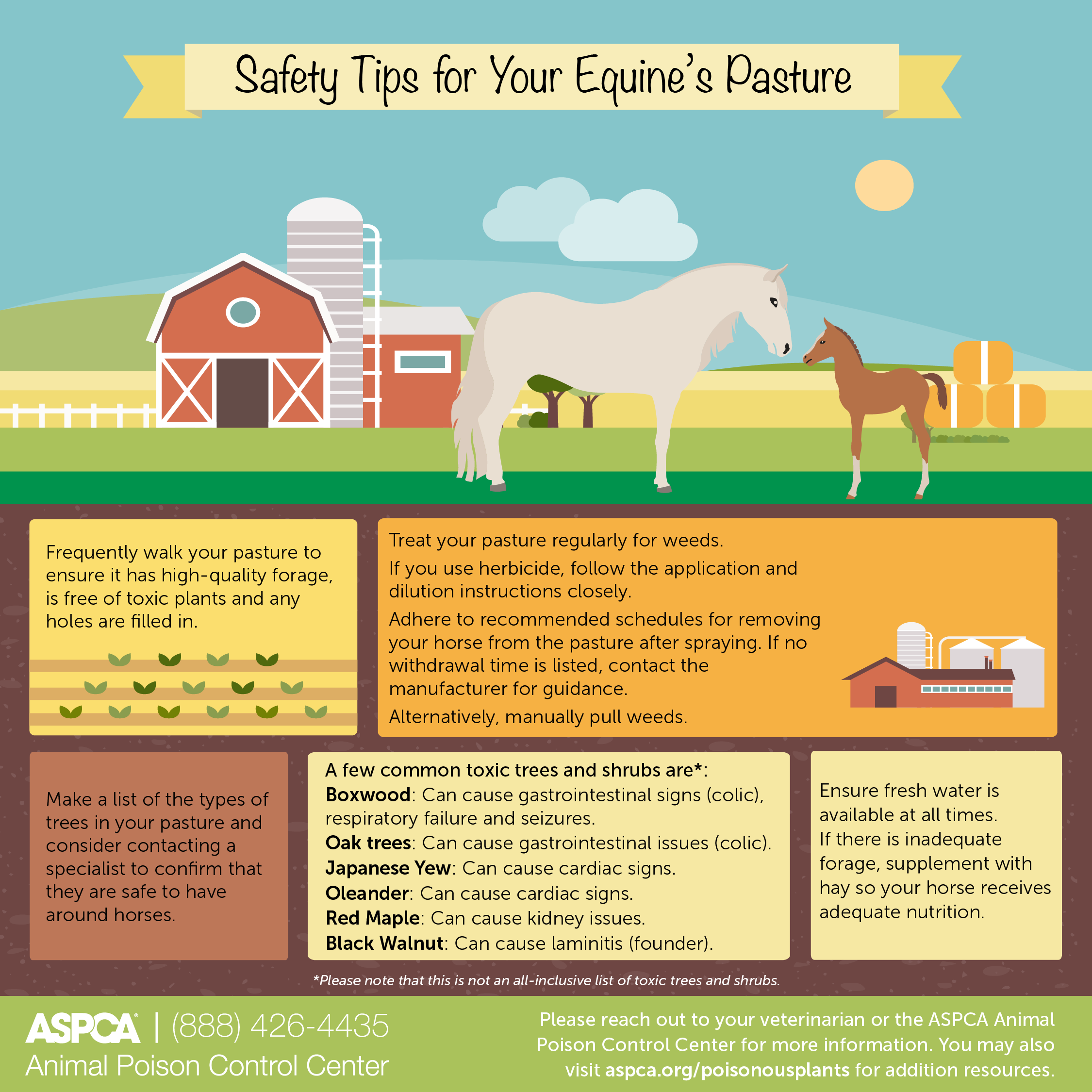 No Man Zone: Expert Safety Tips Inside