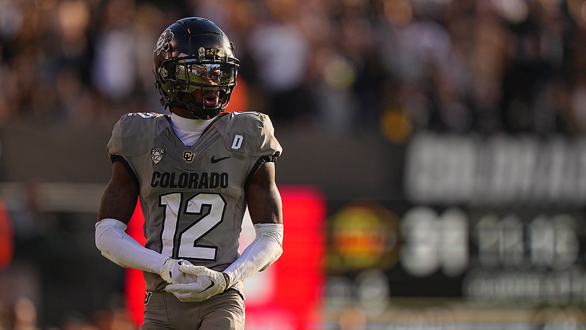Travis Hunter Stats Breakdown Travis Hunter Stats Breakdown