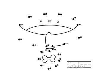 Veterinarian Connect The Dots