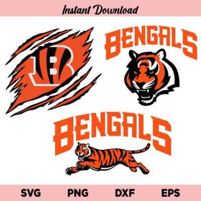 What Are Cincinnati Bengals Football Tickets? Buy Now What Are Cincinnati Bengals Football Tickets? Buy Now