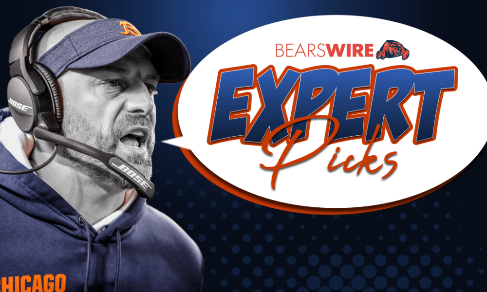 What Happens When Jaguars Face Bears? Expert Picks
