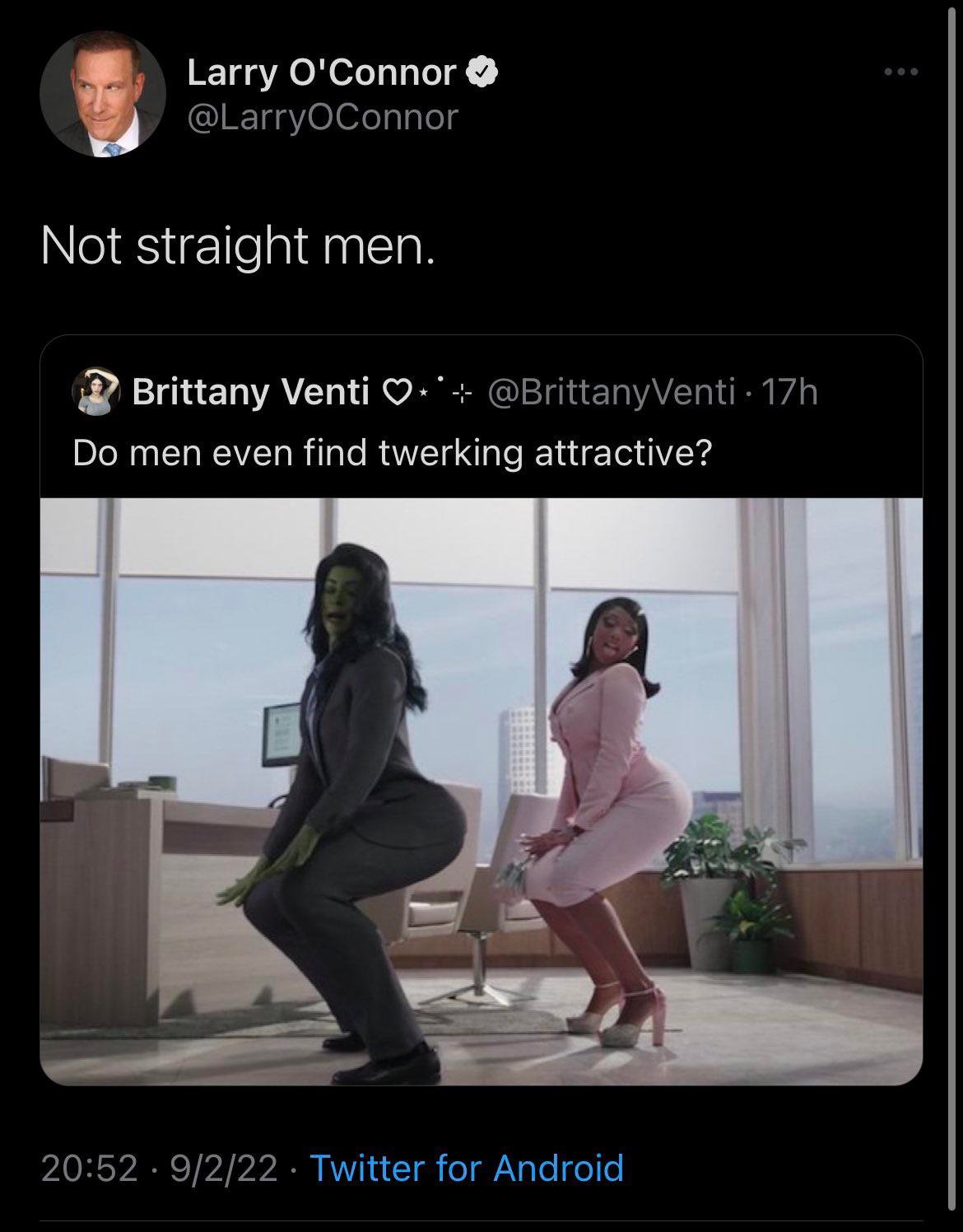What Makes This Image So Liking? Expert Analysis