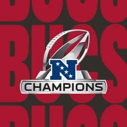 What Tampa Bay Buccaneers Jobs Are Available? Career Guide