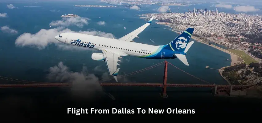 What's Cheapest Flight Dallas To New Orleans? Book Now What's Cheapest Flight Dallas To New Orleans? Book Now
