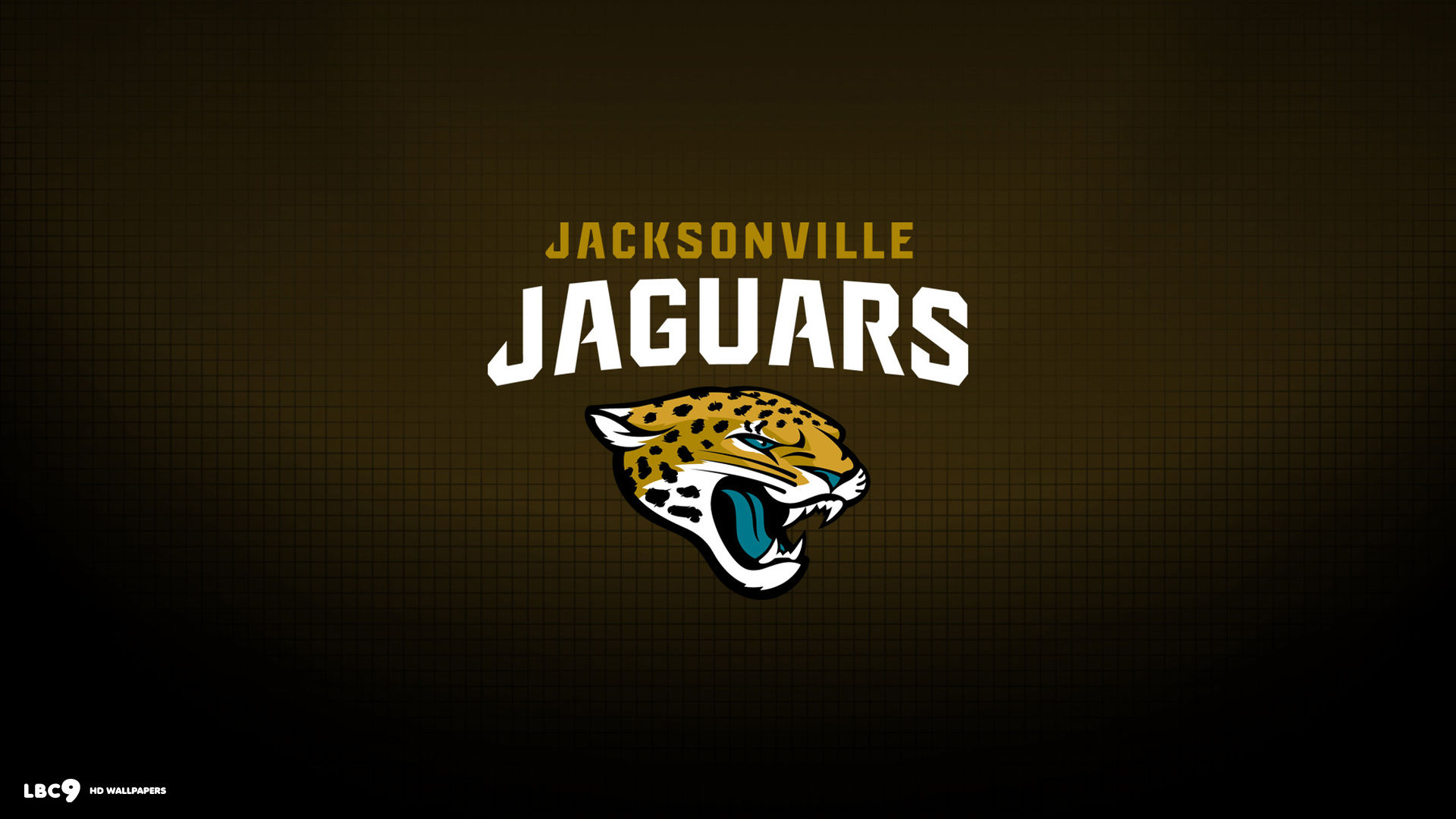Where Are The Jacksonville Jaguars From